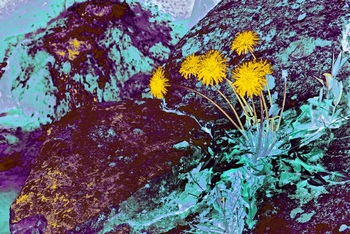 L 061E